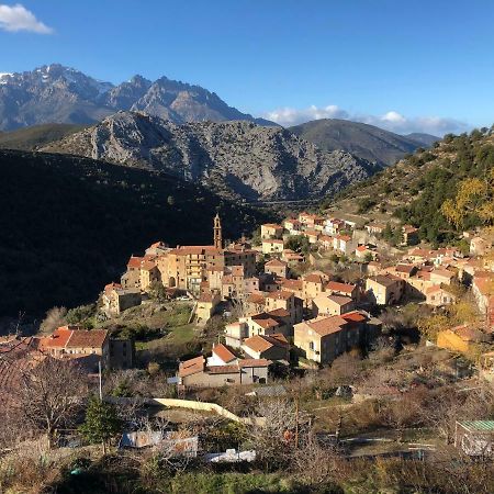 Charmant F2 Dans Joli Village Corse Omessa Esterno foto