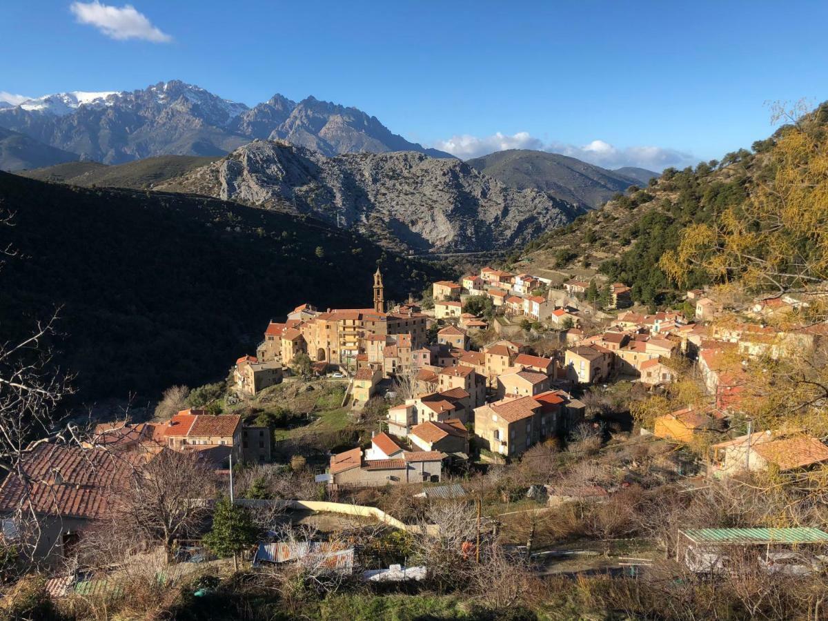 Charmant F2 Dans Joli Village Corse Omessa Esterno foto