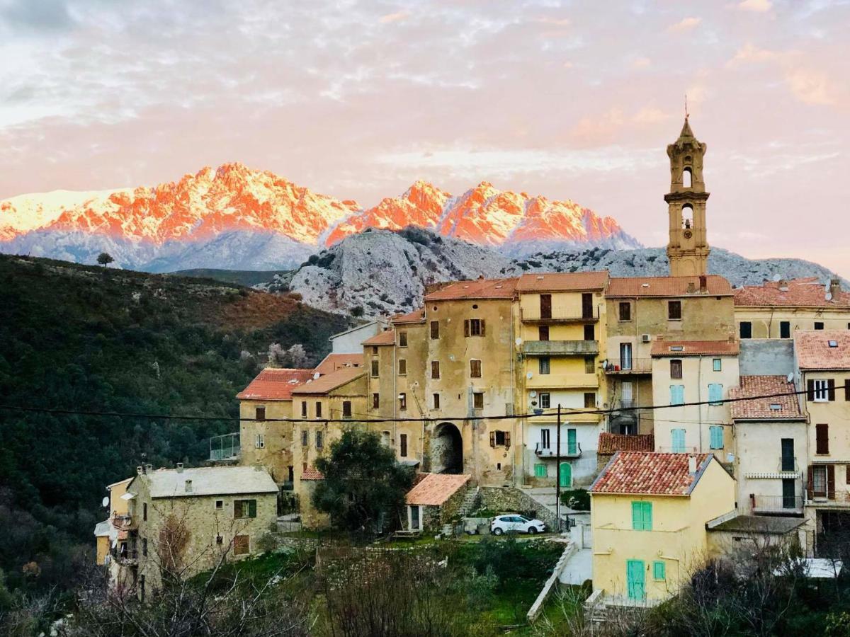 Charmant F2 Dans Joli Village Corse Omessa Esterno foto